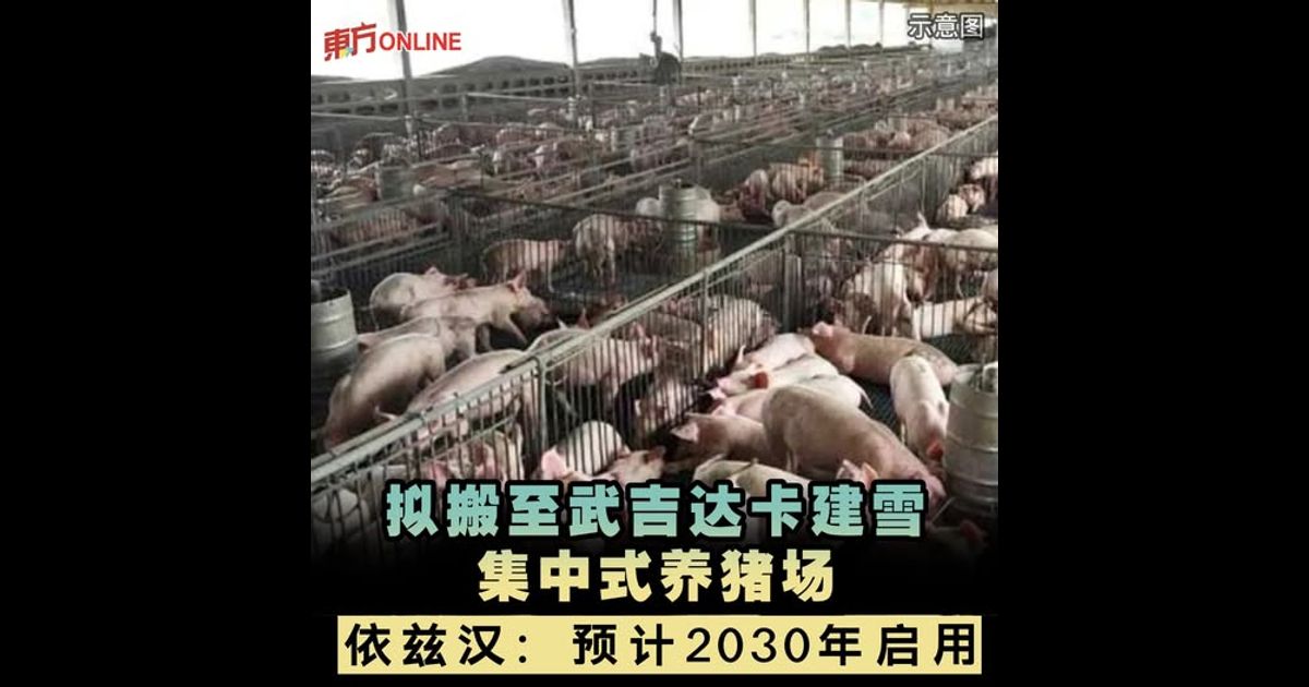 拟搬至武吉达卡建雪集中式养猪场　依兹汉：预计2030年启用