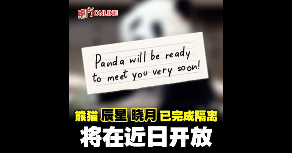 旅马熊猫“辰星”“晓月”已完成隔离　将在近日开放