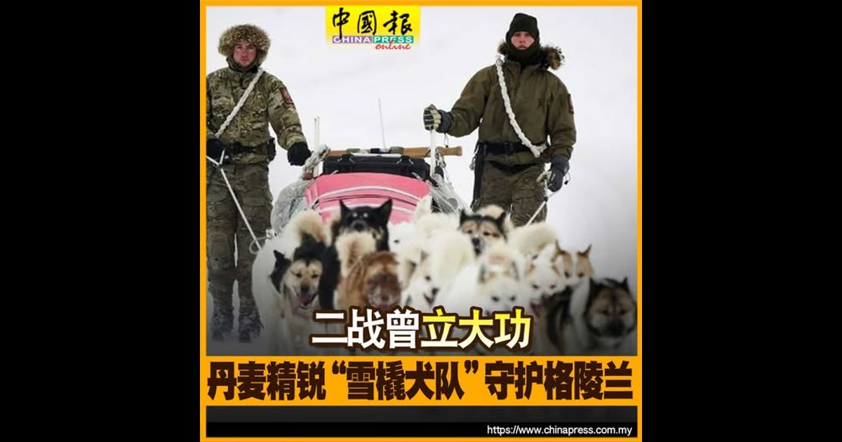 二战曾立大功 丹麦精锐“雪橇犬队”守护格陵兰