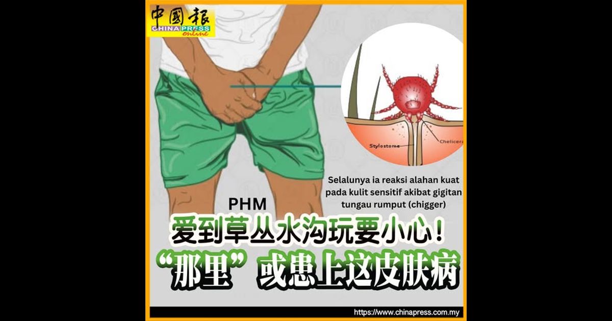 爱到草丛水沟玩要小心! “那里”或患上这皮肤病|附音频