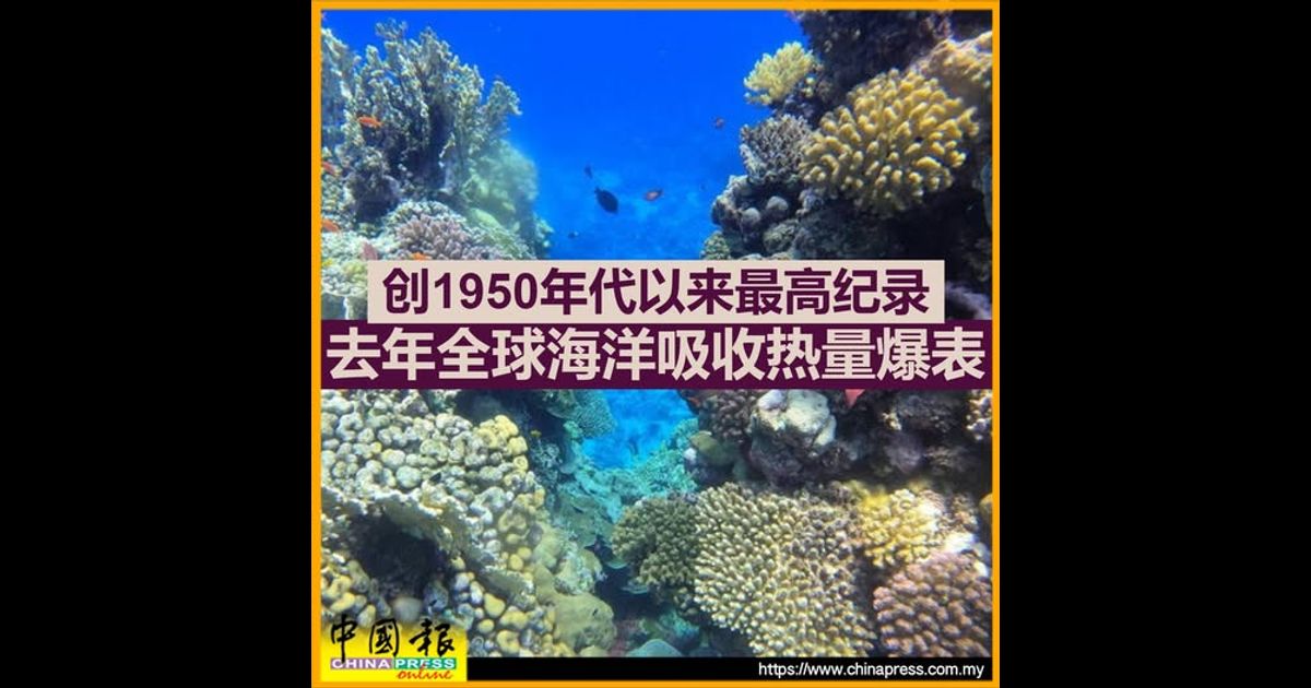 创1950年代以来最高纪录 去年全球海洋吸收热量爆表