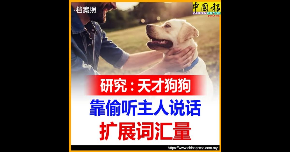 研究：天才狗狗 靠偷听主人说话 扩展词汇量