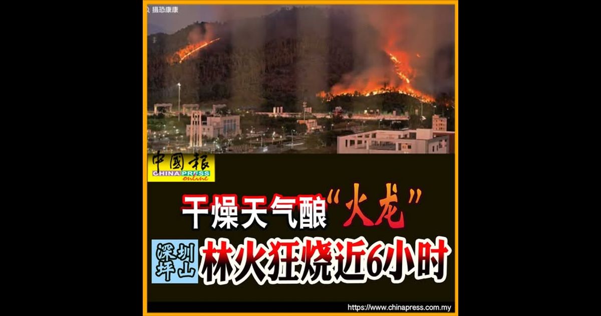干燥天气酿“火龙” 深圳坪山林火狂烧近6小时