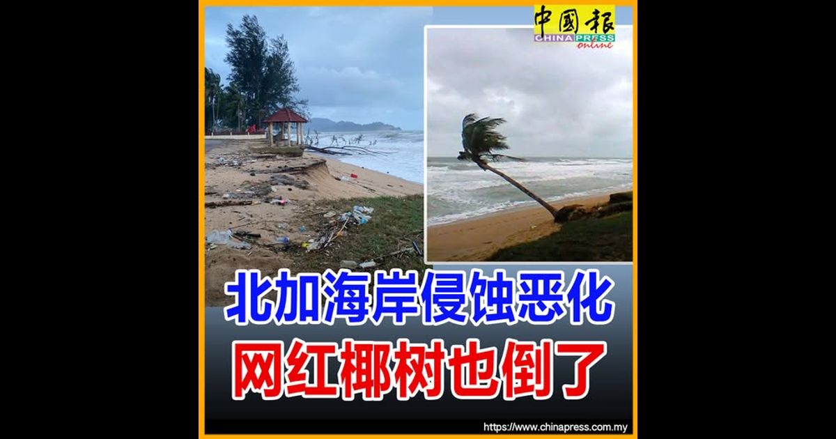 北加海岸侵蚀恶化 网红椰树也倒了