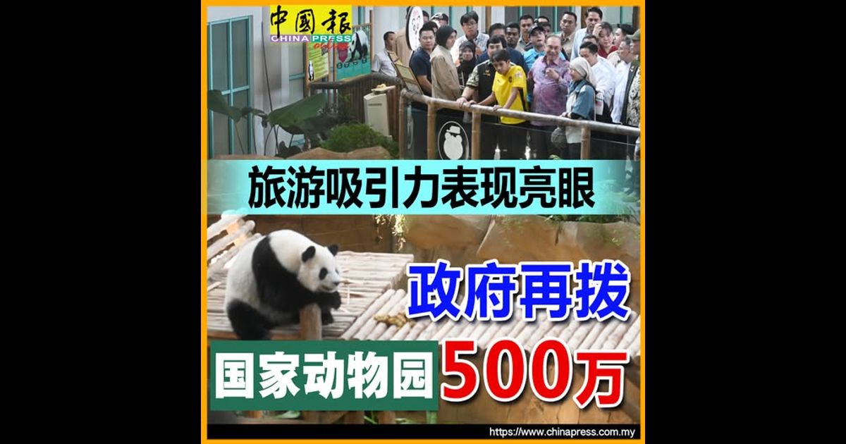熊猫来了｜旅游吸引力表现亮眼 政府再拨国家动物园500万