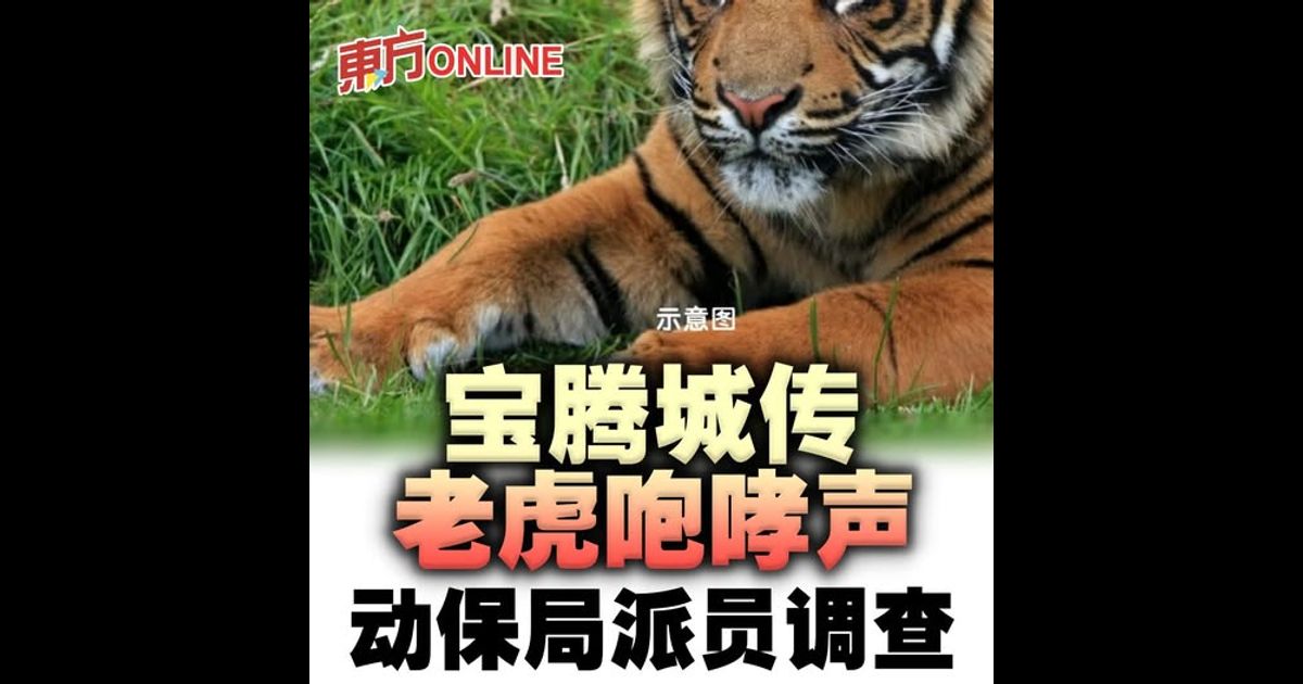 宝腾城传老虎咆哮声 动保局派员调查