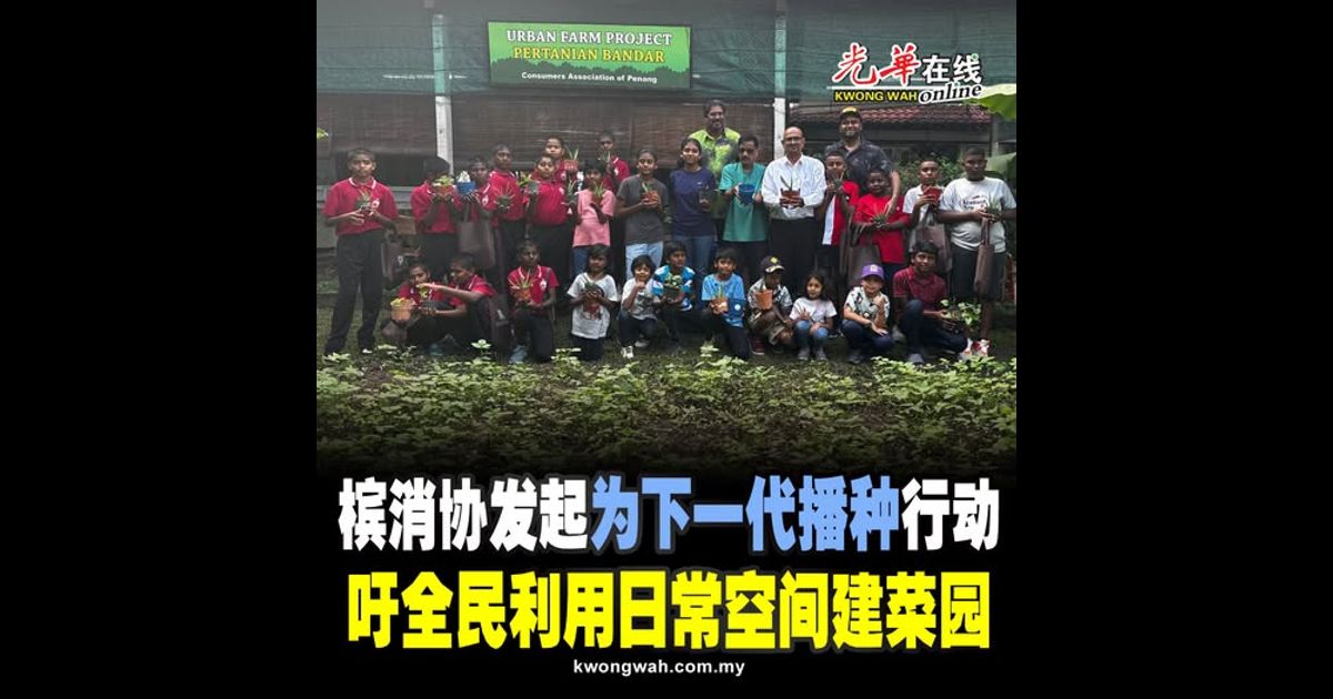 槟消协发起“为下一代播种”行动 吁全民利用日常空间建菜园