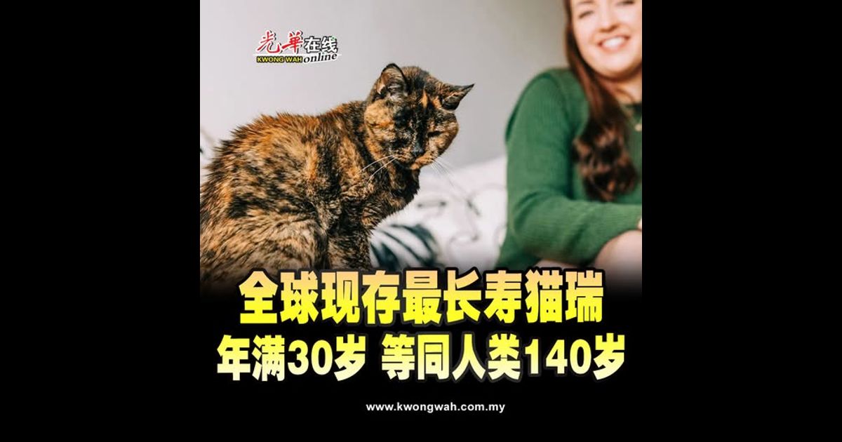 全球现存最长寿“猫瑞”年满30岁 相当于人类140岁