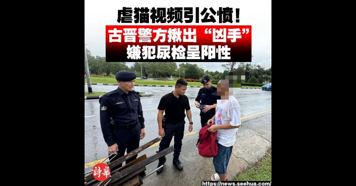 虐猫视频引公愤！ 古晋警方揪出“凶手” 嫌犯尿检呈阳性