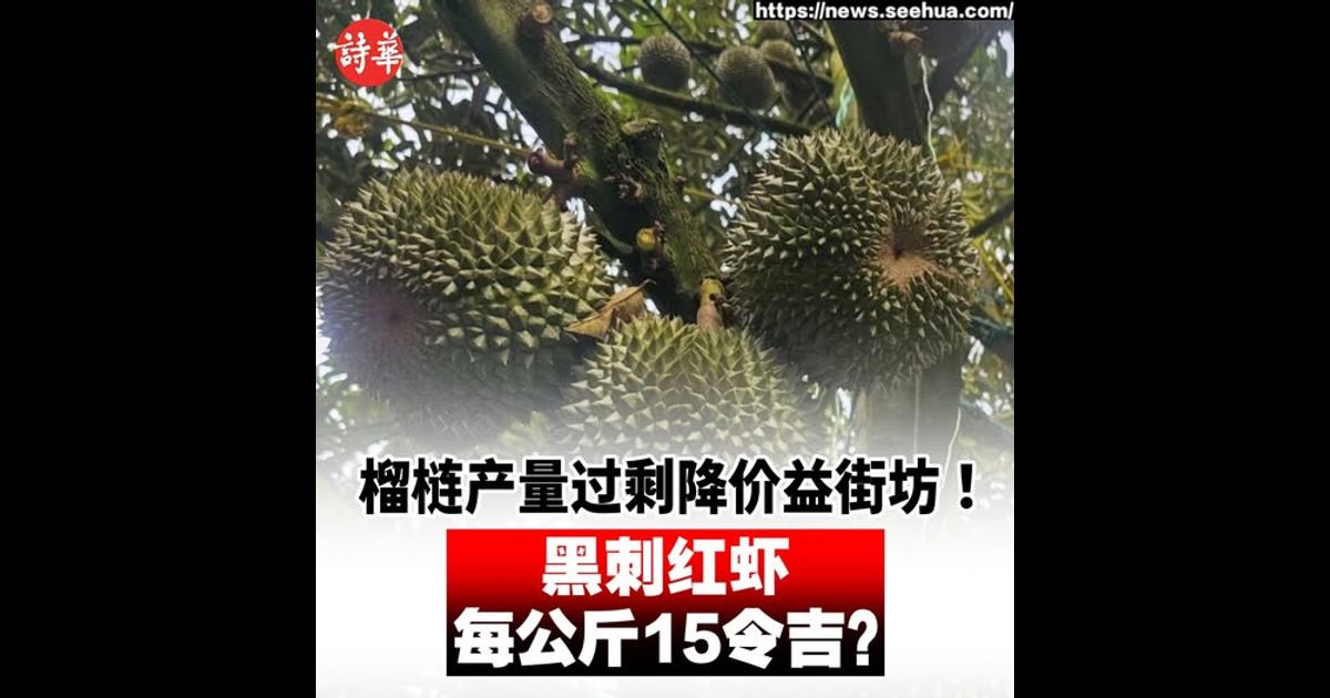 榴梿产量过剩降价益街坊！　黑刺红虾每公斤15令吉？
