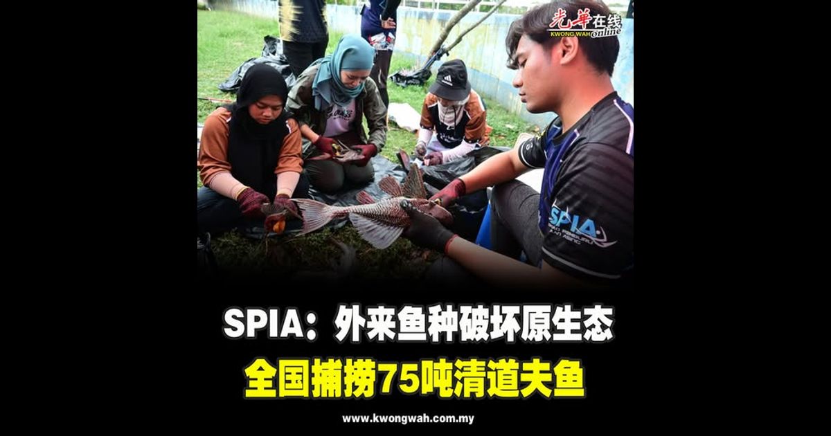 SPIA：外来鱼种破坏原生态 全国捕捞75吨清道夫鱼