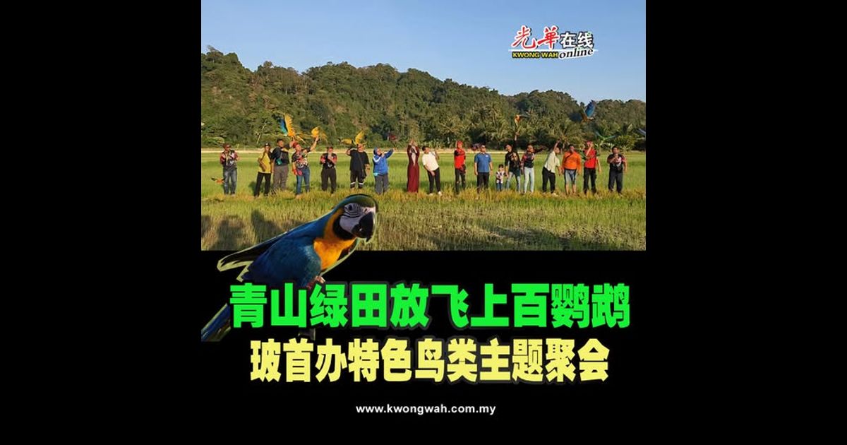 青山绿田放飞上百鹦鹉 玻首办特色鸟类主题聚会（附视频）