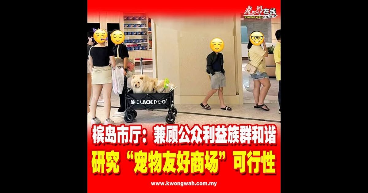 槟岛市厅：兼顾公众利益族群和谐 研究“宠物友好商场”可行性