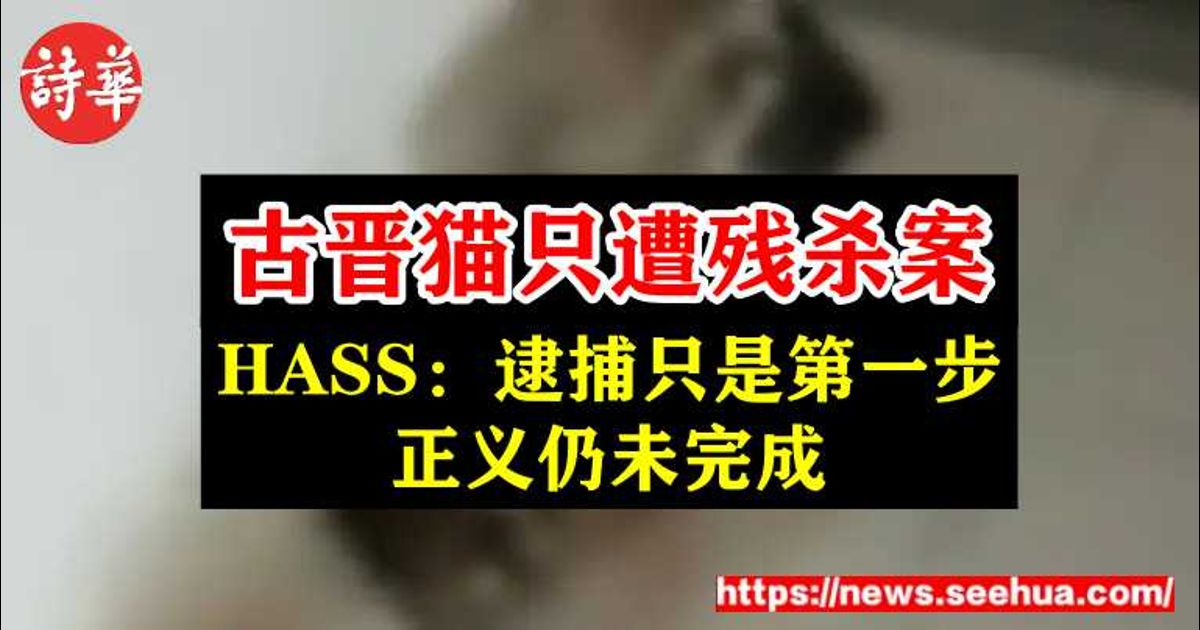 古晋猫只遭残杀案 HASS：逮捕只是第一步，正义仍未完成
