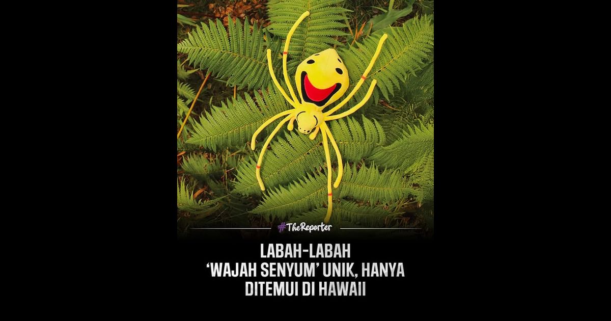 Labah-labah ini kelihatan seolah-olah sedang tersenyum, namun ia bukan hasil suntingan atau lukisan.