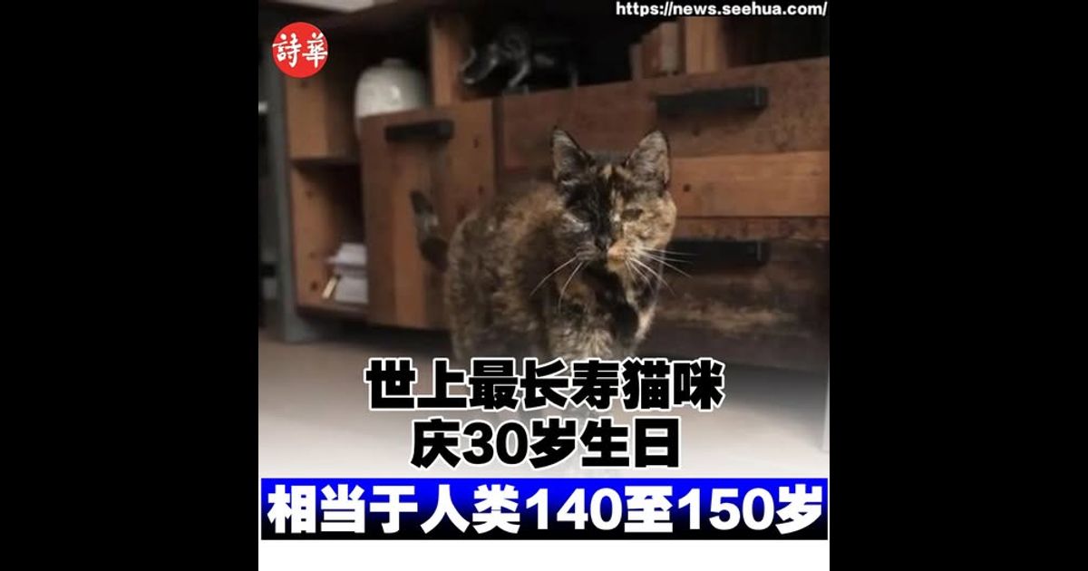 世上最长寿猫咪庆30岁生日　相当于人类140至150岁