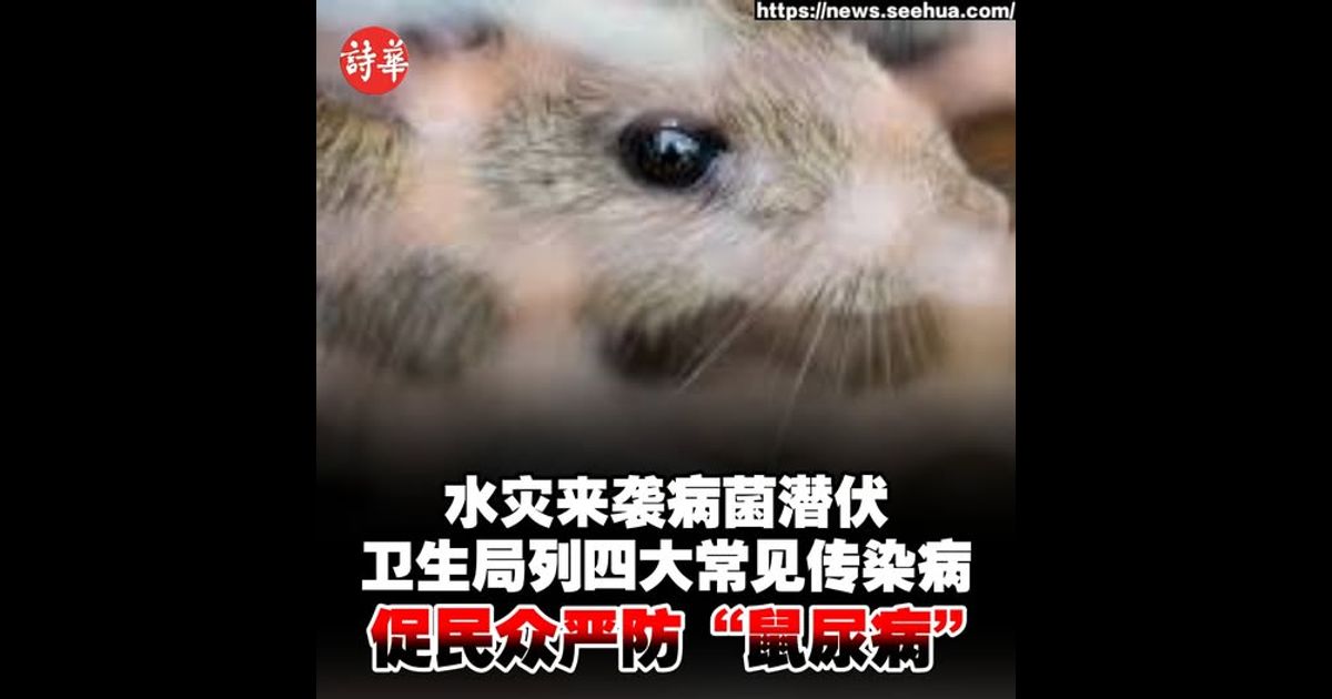 水灾来袭病菌潜伏 卫生局列四大常见传染病 促民众严防“鼠尿病”