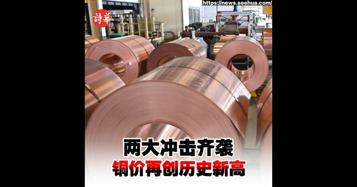 CAT医院免费巴士反应佳 魏子森：真正助有需群体