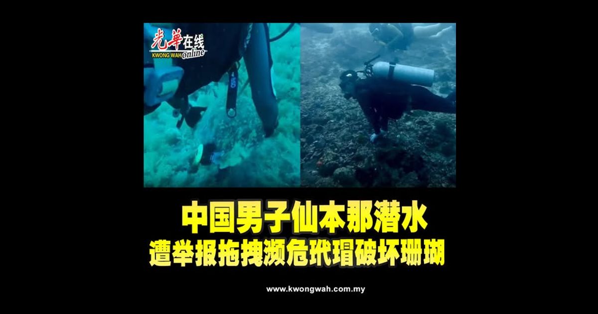 中国男子仙本那潜水　遭举报拖拽濒危玳瑁破坏珊瑚