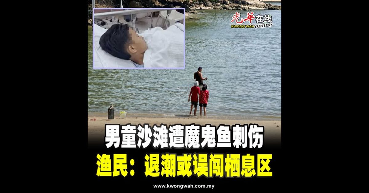 男童沙滩遭魔鬼鱼刺伤 渔民：退潮或误闯栖息区