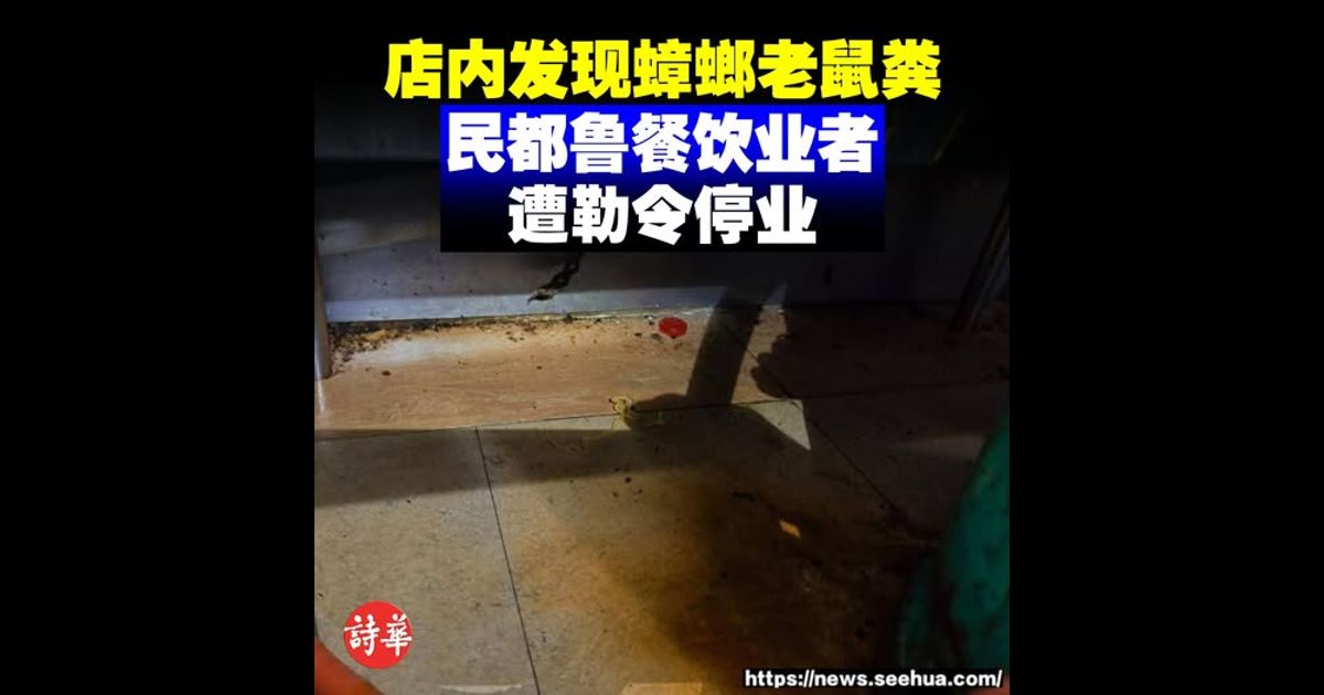 店内发现蟑螂老鼠粪 民都鲁餐饮业者遭勒令停业