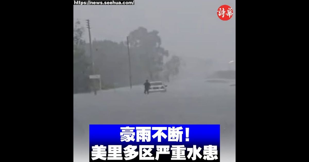 林冠英斥沙努西言论荒谬且挑衅　促依法上联邦法院解决争议