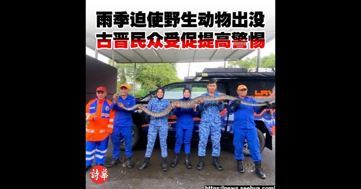 雨季迫使野生动物出没 古晋民众受促提高警惕