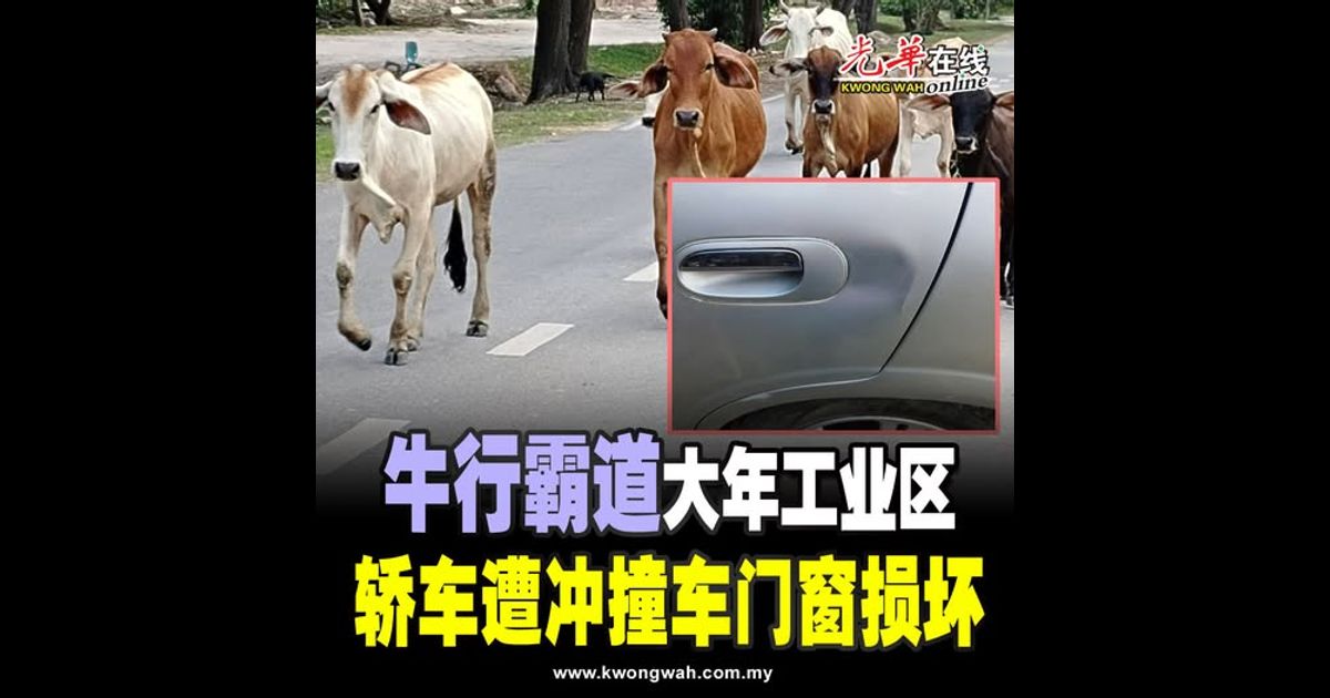 “牛行霸道”大年工业区 轿车遭冲撞车门窗损坏