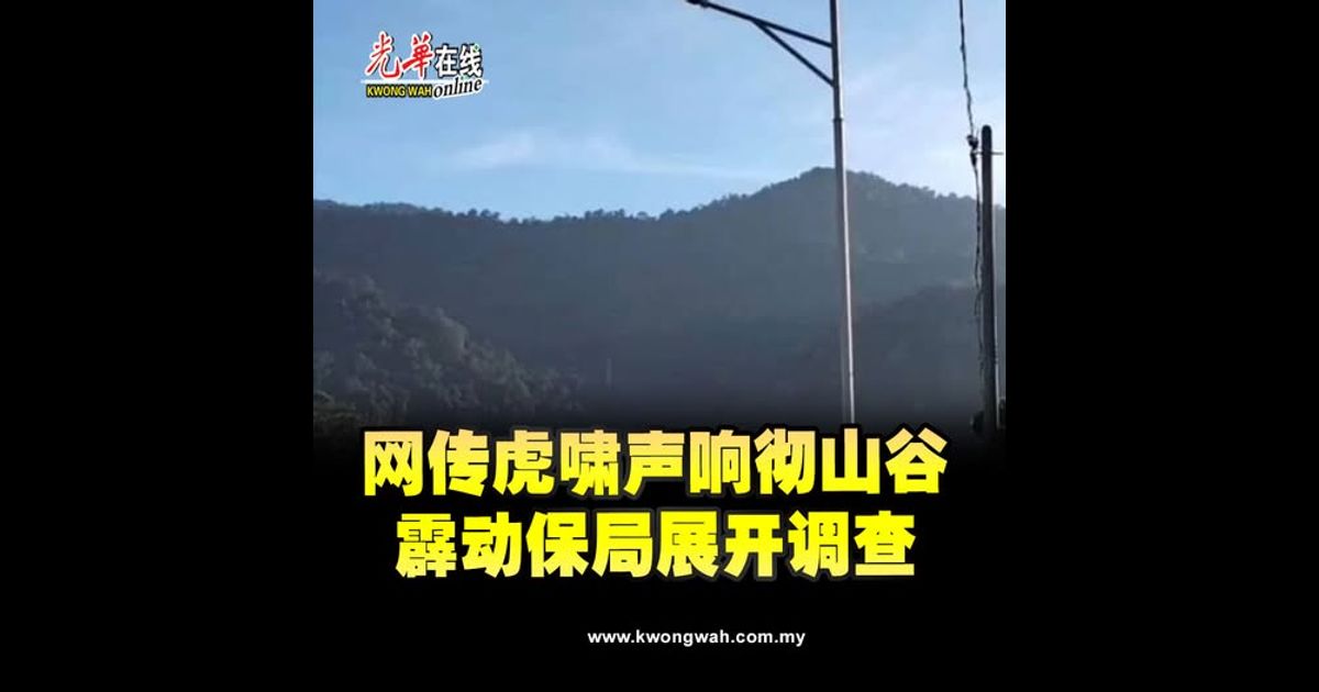 网传虎啸声响彻山谷　霹动保局展开调查（附视频）