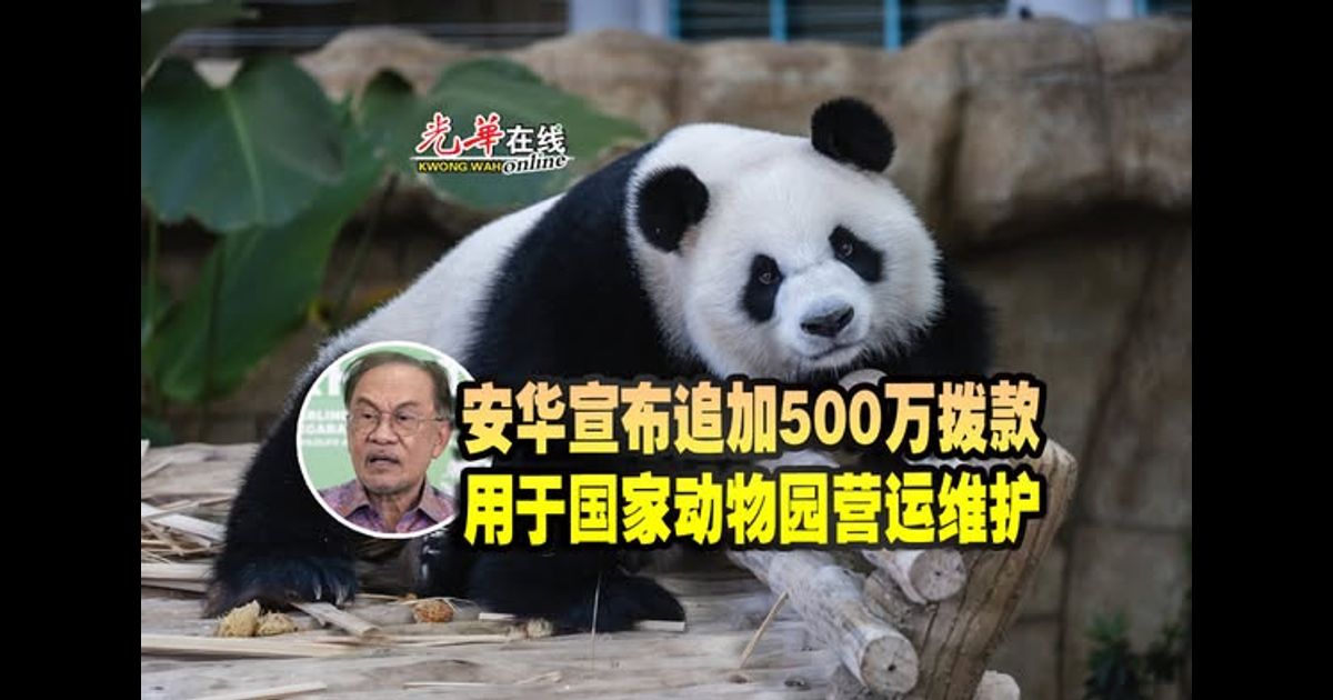 安华宣布追加500万拨款 用于国家动物园营运维护