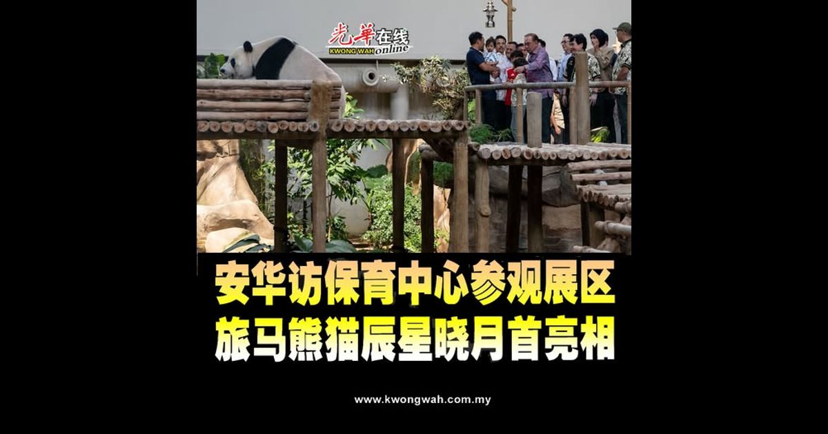 安华访保育中心参观展区 旅马熊猫辰星晓月首亮相（附视频）