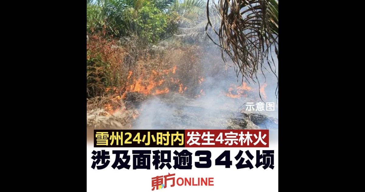 雪州24小时内发生4宗林火　涉及面积逾34公顷