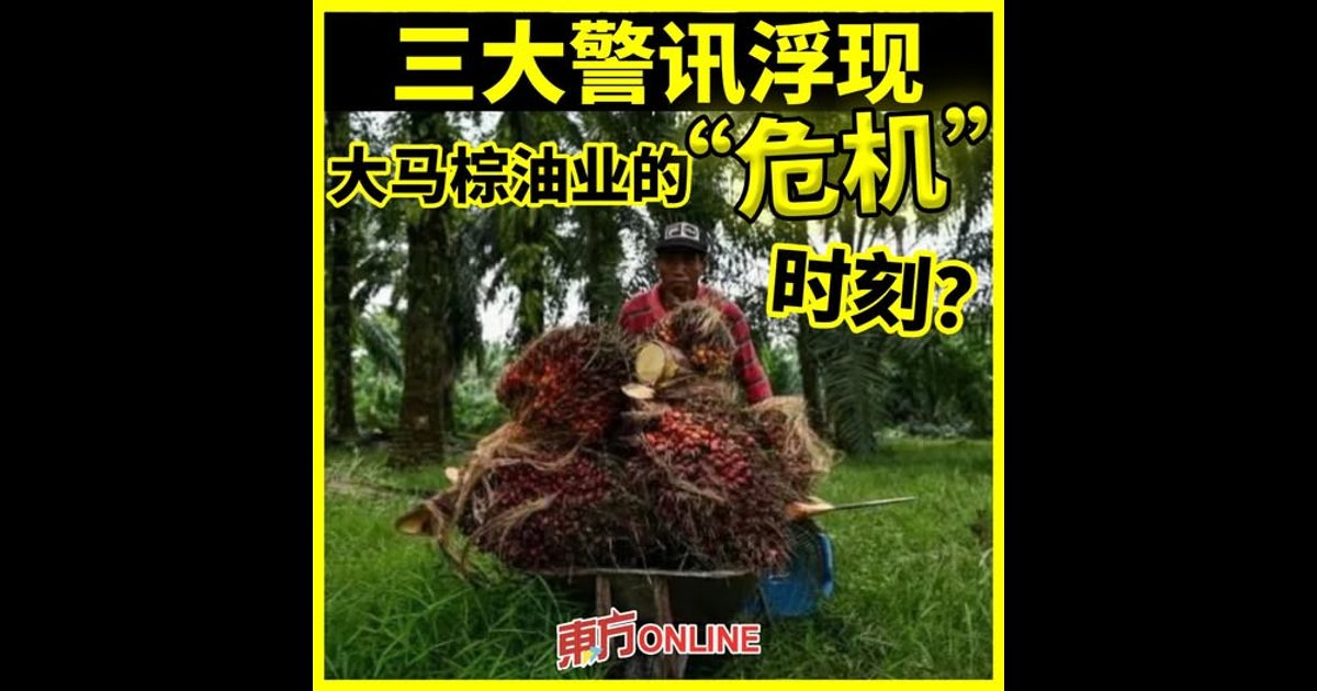 三大警讯浮现　大马棕油业的“危机”时刻？