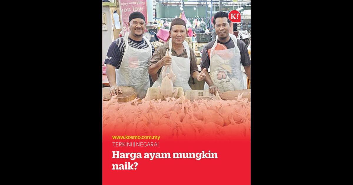 Harga ayam segar mungkin naik?
