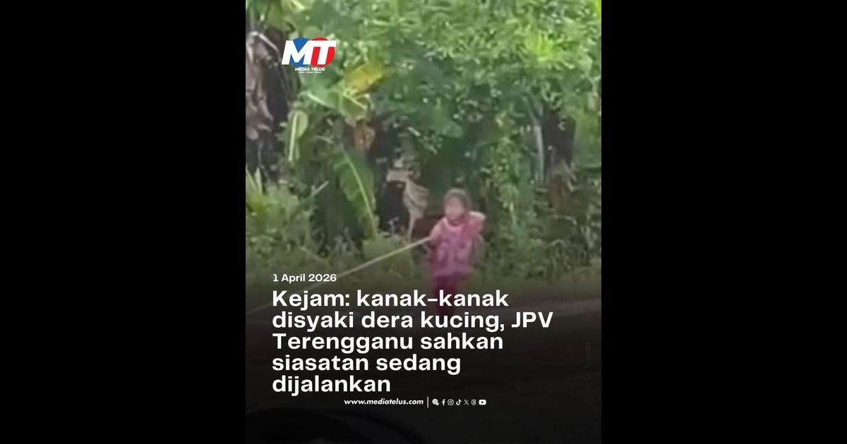 Kejam: kanak-kanak disyaki dera kucing, JPV Terengganu sahkan siasatan sedang dijalankan