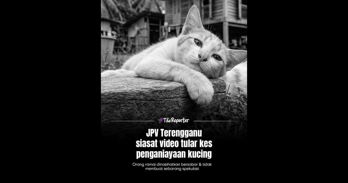 JPV Terengganu siasattular kes penganiayaan kucing